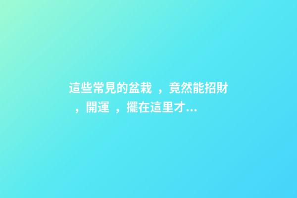 這些常見的盆栽，竟然能招財，開運，擺在這里才管用